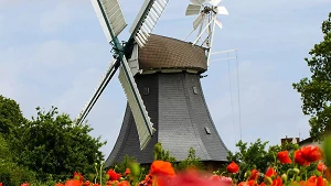 Krokauer Mühle