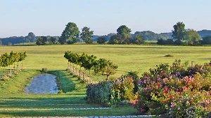 Rosenpark Groß Siemen