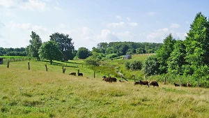 Tierpark Arche Warder