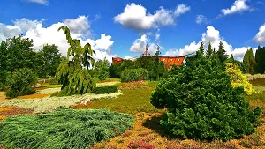 Heidelandschaft mit der Spielarche im Hintergrund