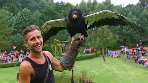 Gaukler Attila in der Flugshow Adler, Eulen und Co.