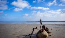 Ferienwohnung Sonne und Meer