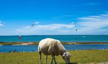 Campingland Ostsee - Mobilheim 111/Meerblick