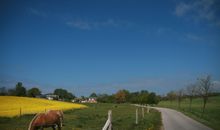 Rad- und Wanderwege entlang Feld und Küstenwald zum Strand