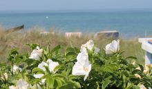 Strand von Kühlungsborn