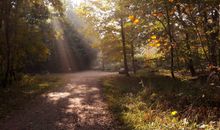 Weg Richtung Strand