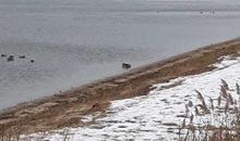 Winter am Strand