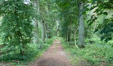 Waldweg am Ferienhaus