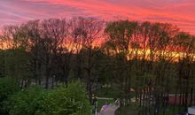 Blick vom Balkon auf den Kurpark