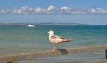 Strandidylle in Binz