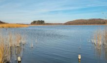 Kleiner Jasmunder Bodden in unmittelbarer Nähe