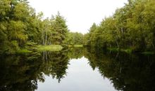 Moorsee / Ribnitz - Müritzer Hochmoor