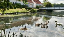 Wasserschloss Glücksburg