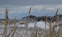 Landschaft im Winter