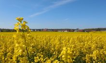 Mein Ostseeferienhaus Urlaub Ostsee Wismar Ferienhäuser Zierow