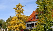 Ferienhaus in Lauterbach mit Kachelofen