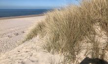 Haus am Meer Ferienhaus Insel Rügen Ostsee Wlan Sauna Waschm