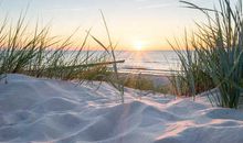 Haus am Meer Ferienhaus Insel Rügen Ostsee Wlan Sauna Waschm