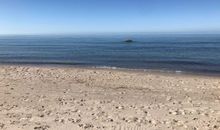 Haus am Meer Ferienhaus Insel Rügen Ostsee Wlan Sauna Waschm