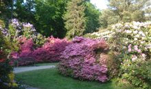 Ferienobjekt Graal-Müritz  - Rhododendronpark