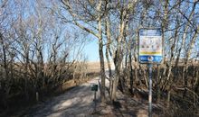 Strandaufgang Nr. 1 von vielen!