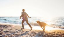 FeWo Kleiner Knurrhahn - strandnah - ein kleiner Hund willkommen