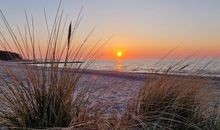 FeWo Kleiner Knurrhahn - strandnah - ein kleiner Hund willkommen