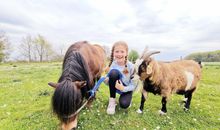 FeWo Kleiner Knurrhahn - strandnah - ein kleiner Hund willkommen