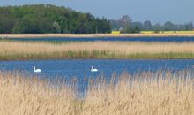 Gutshaus Strobel Landurlaub & Wellness