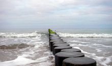 Alcor Hotel Feriendorf an der Ostsee