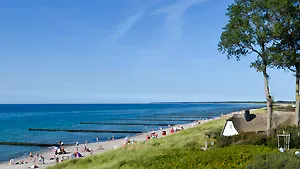 Typisch für die Ostseeküste: Windflüchter und reetgedeckte Häuser