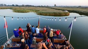 Kranichbeobachtungstour mit dem Fahrgastschiff