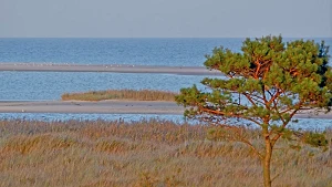 Sandbänke vor der Küstenlinie