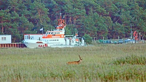 Seenotrettungskreuzer im ehemaligen Nothafen Darßer Ort