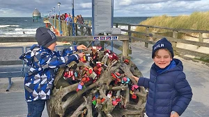 Strandwurzel mit Liebesschlössern auf dem Seebrückenvorplatz