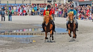 Wettrennen der Ponys