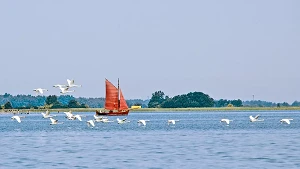 Zeesboot begleitet von Schwänen