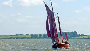 Regatta mit gutem Wind