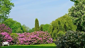 Prachtvolle Stauden im Rhododendronpark