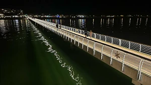 Seebrücke bei Nacht