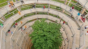 Baum in der Mitte des Aussichtsturms