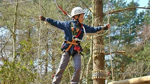 Kletterwald Binz Prora