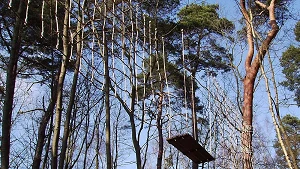 Kletterwald Binz Prora