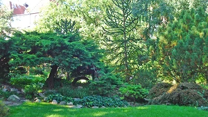 Botanischer Garten Kiel