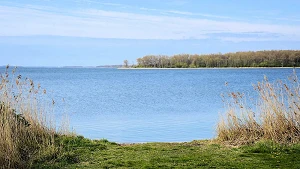 Blick auf die Vogelinsel