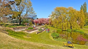 Teich am Gewächshaus