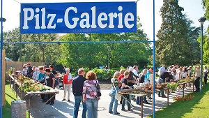 Landes-Pilzausstellung