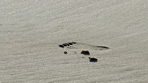 Fußspur im Sand