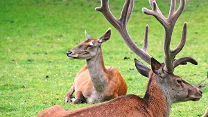 Tierpark Stralsund