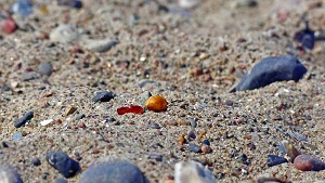 Bernstein im Sand